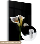 MuchoWow® Glasschilderij 30x40 cm - Schilderij acrylglas - Planten - Bloemen - Wit - Natuur - Botanisch - Foto op glas - Schilderijen
