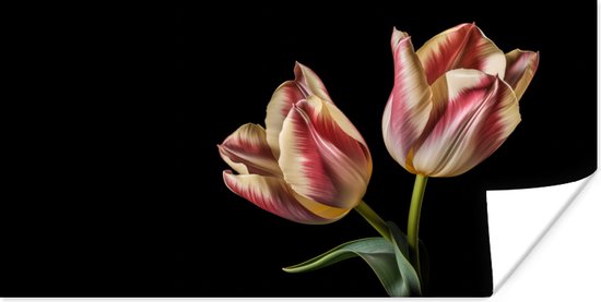 Poster Tulpen - Bloemen - Roze - Wit - Natuur - 120x60 cm
