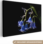 Tableau sur toile Jacinthe - Fleurs - Blauw - Nature - Zwart - 120x80 cm - Décoration murale