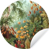 WallCircle® - Behangcirkel 30x30 cm - Muurstickers Oude meesters - Kunst - Muscinae - Haeckel - Muurcirkel woonkamer - Wandcirkel slaapkamer - Kamer decoratie zelfklevend - Muurdecoratie accessoires