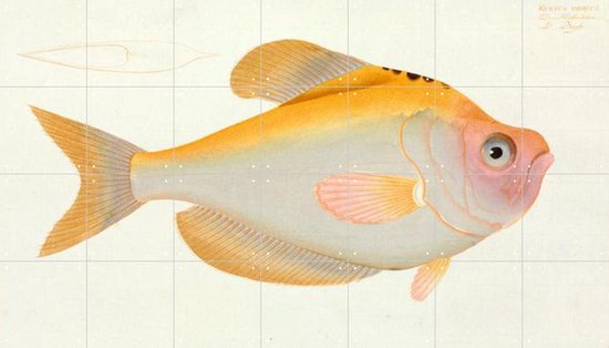 IXXI Yellow Fish - Wanddecoratie - Dieren