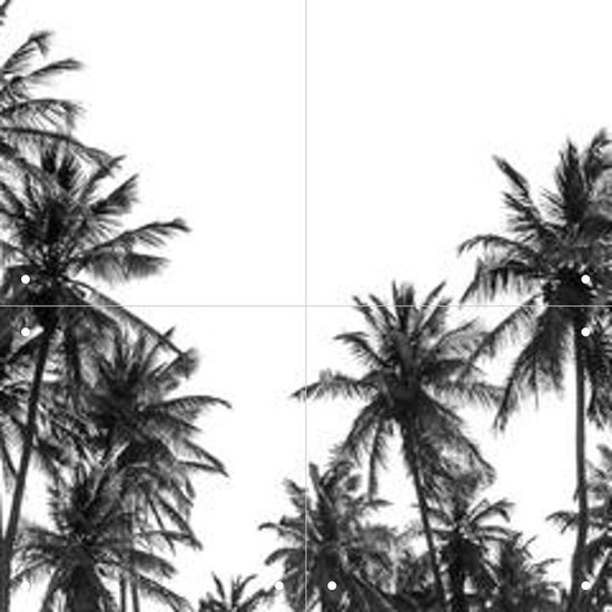 IXXI Palm Trees in Africa - Wanddecoratie - Fotografie - 40 x 40 cm