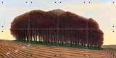 IXXI Dorset Clump of Trees - Wanddecoratie - Winter - 80 x 40 cm
