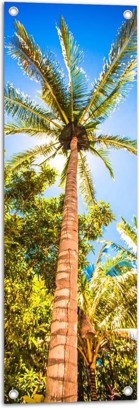 Tuinposter – Palmbomen Beschijnd door Zon - 30x90 cm Foto op Tuinposter (wanddecoratie voor buiten en binnen)