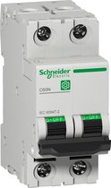 Schneider Electric stroomonderbreker - M9F11206 - E366C