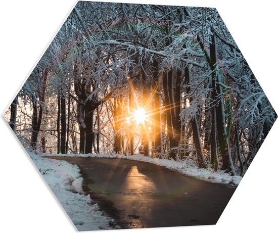 PVC Schuimplaat Hexagon - Pad - Sneeuw - Bomen - Bossen - Zon - Zonsondergang - 70x60.9 cm Foto op Hexagon (Met Ophangsysteem)