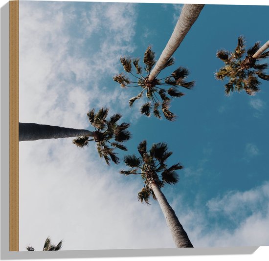 Hout - Onderaanzicht - Bomen - Palmbomen - Wolken - 50x50 cm - 9 mm dik - Foto op Hout (Met Ophangsysteem)