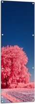 Tuinposter – Landschap - Boom - Weg - Planten - Zand - Roze - 50x150 cm Foto op Tuinposter (wanddecoratie voor buiten en binnen)