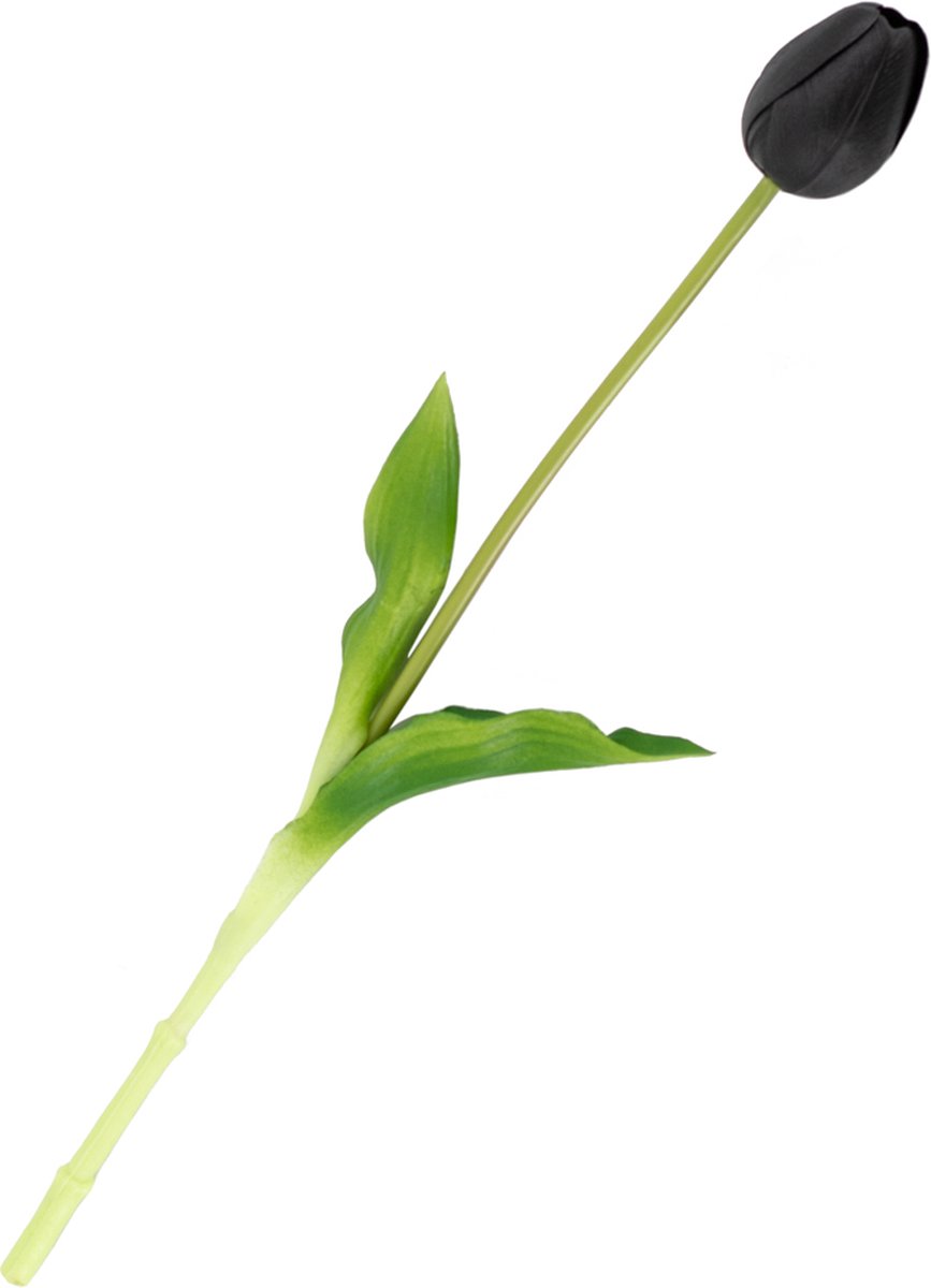 HomeBound by KY | Kunsttulp real touch zwart | kunsttulp