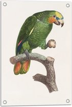 Tuinposter – Dieren - Papegaai - Eten - Tak - Hout - Kleuren - 40x60 cm Foto op Tuinposter (wanddecoratie voor buiten en binnen)