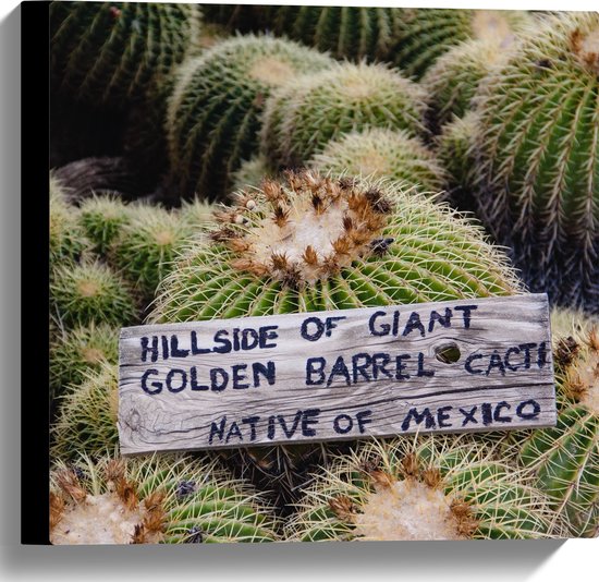Canvas - Cactussen - Planten - Tekst - Bordje - Hout - Kleuren - 40x40 cm Foto op Canvas Schilderij (Wanddecoratie op Canvas)