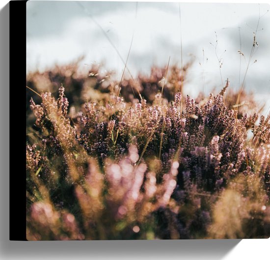 Canvas - Landschap - Planten - Paars - Groen - 30x30 cm Foto op Canvas Schilderij (Wanddecoratie op Canvas)