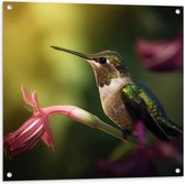 Tuinposter – Kolibrie op Groene Tak van Roze Lelie Bloem - 80x80 cm Foto op Tuinposter (wanddecoratie voor buiten en binnen)