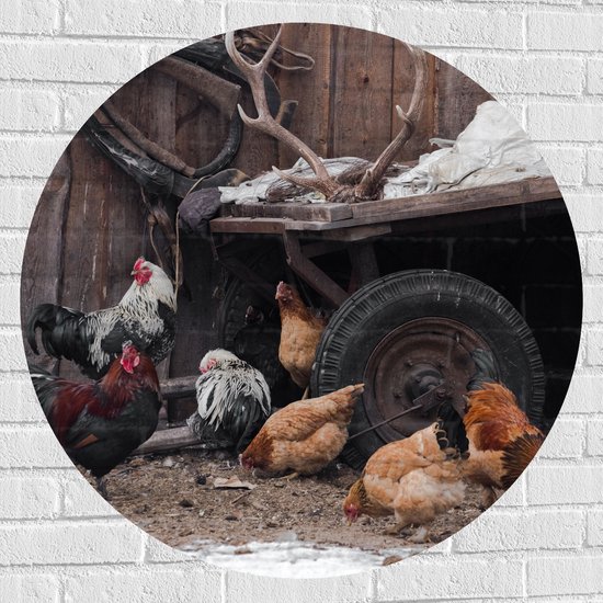 Muursticker Cirkel - Groepje Kippen Lopend bij Wagen op Boerderij - 90x90 cm Foto op Muursticker