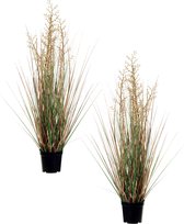 Louis Maes Quality kunstplant - 2x - Siergras met bes - groen/bruin - H75 cm - in pot