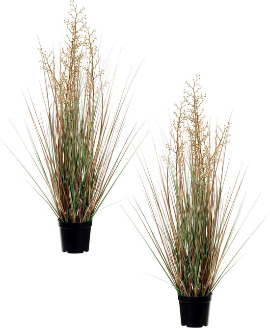 Twee siergrassen in pot met groene en bruine sprieten en bruine besjes.