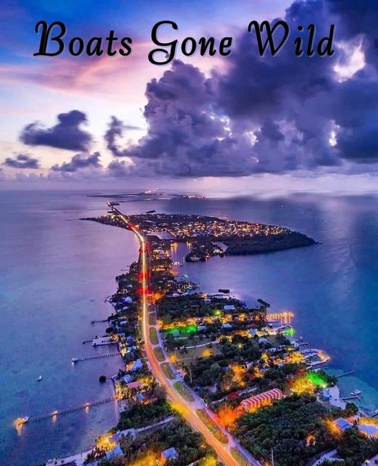 Boats Gone Wild (ebook), Veronica Roser 9798223439684 Boeken