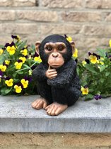 Chimpansee klein 21 cm hoog - aapje - polyester - polyresin - polystone - hoogkwalitatieve kunststof - decoratiefiguur - interieur - accessoire - voor binnen - cadeau - geschenk - tuinfiguur - tuinbeeldje - tuindecoratie - kerst - nieuwjaar