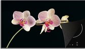 KitchenYeah inductie beschermer 90x52 cm - Bloemen orchidee - Kookplaataccessoires roze - Afdekplaat voor kookplaat - Anti slip mat - Keuken decoratie inductieplaat - Inductiebeschermer accessoires - Inductiemat - Beschermmat voor fornuis