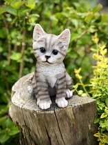Kat zittend klein grijs 20 cm hoog - kat - kitten - polyester - polyresin - polystone - hoogkwalitatieve kunststof - decoratiefiguur - interieur - accessoire - voor binnen en buiten - cadeau - geschenk - tuinfiguur - tuinbeeldje - tuindecoratie