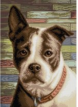 Diamond Painting Staffordshire Terrier AZ-1701