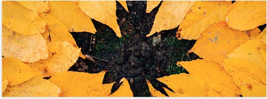 Poster Glanzend – Bladeren - Herfst - Canada - Gras - 90x30 cm Foto op Posterpapier met Glanzende Afwerking