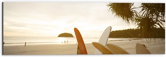 Dibond - Rij Surfplanken op het Strand tijdens Avondzon - 60x20 cm Foto op Aluminium (Wanddecoratie van metaal)