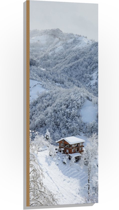 Hout - Bergen - Huisje - Sneeuw - Bomen - Wit - 40x120 cm - 9 mm dik - Foto op Hout (Met Ophangsysteem)