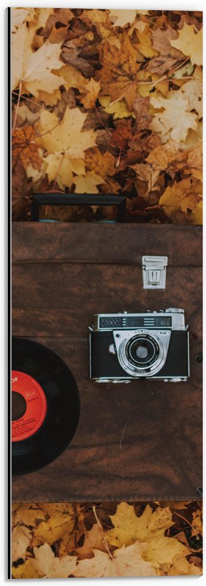 Dibond - Muziekplaat en Vintage Camera op Koffer tussen de Herfstbladeren - 20x60 cm Foto op Aluminium (Met Ophangsysteem)