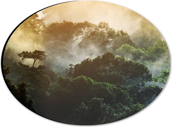 Dibond Ovaal - Mist tussen de Groene Boomtoppen - 28x21 cm Foto op Ovaal (Met Ophangsysteem)