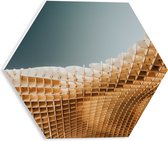 PVC Schuimplaat Hexagon - Abstracte Vormen op Honinggraten - 30x26.1 cm Foto op Hexagon (Met Ophangsysteem)
