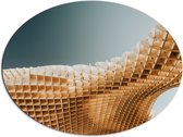 Dibond Ovaal - Abstracte Vormen op Honinggraten - 80x60 cm Foto op Ovaal (Met Ophangsysteem)