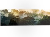 PVC Schuimplaat- Mist tussen de Groene Boomtoppen - 90x30 cm Foto op PVC Schuimplaat