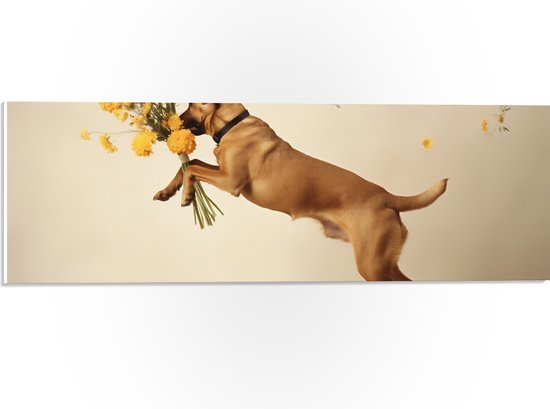 PVC Schuimplaat - Hond met Gele Bloemen tussen de Poten - 60x20 cm Foto op PVC Schuimplaat (Met Ophangsysteem)