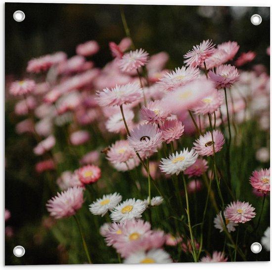 Tuinposter – Bloemen - Bomen - Bossen - Roze - 50x50 cm Foto op Tuinposter (wanddecoratie voor buiten en binnen)