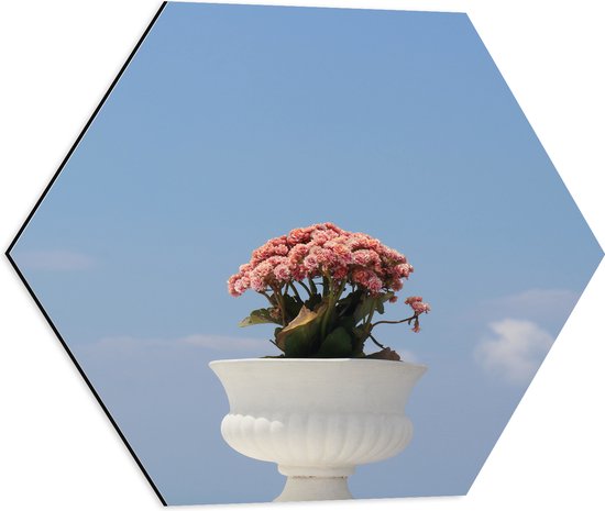 Dibond Hexagon - Bloemen - Bladeren - Lucht - Bloembak - Kleuren - 50x43.5 cm Foto op Hexagon (Met Ophangsysteem)