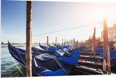 PVC Schuimplaat- Blauwe Gondels op de Zee bij Venetië op Zonnige Dag - 120x80 cm Foto op PVC Schuimplaat