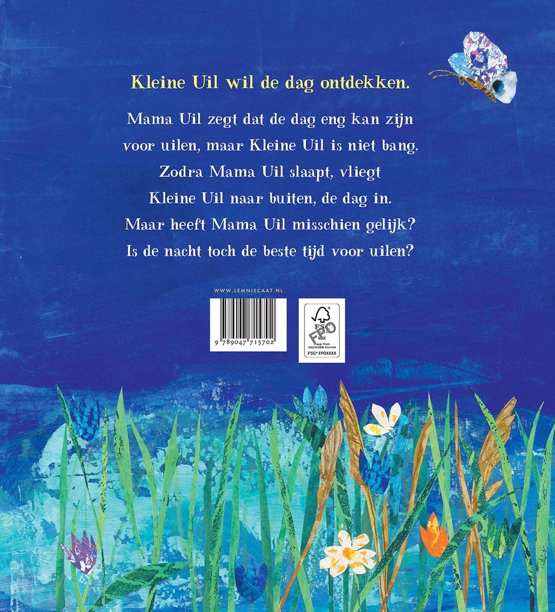 Kleine Uil — cadeau in Boeken - foto 2