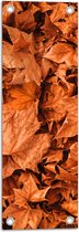 Tuinposter – Bladeren - Herfst - Bruin - 20x60 cm Foto op Tuinposter (wanddecoratie voor buiten en binnen)