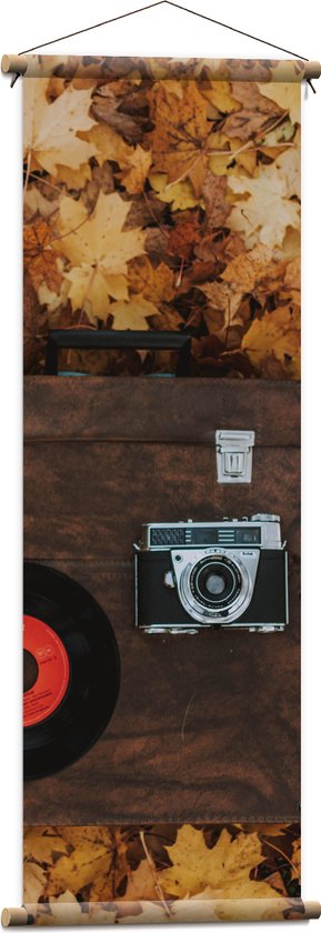 Textielposter - Muziekplaat en Vintage Camera op Koffer tussen de Herfstbladeren - 40x120 cm Foto op Textiel