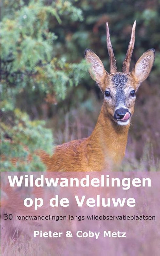 Foto: Wildwandelingen op de veluwe