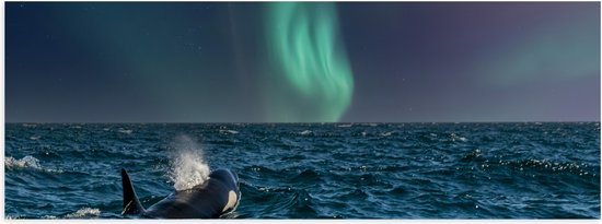 Poster Glanzend – Noorderlicht boven Orka in de Zee - 60x20 cm Foto op Posterpapier met Glanzende Afwerking