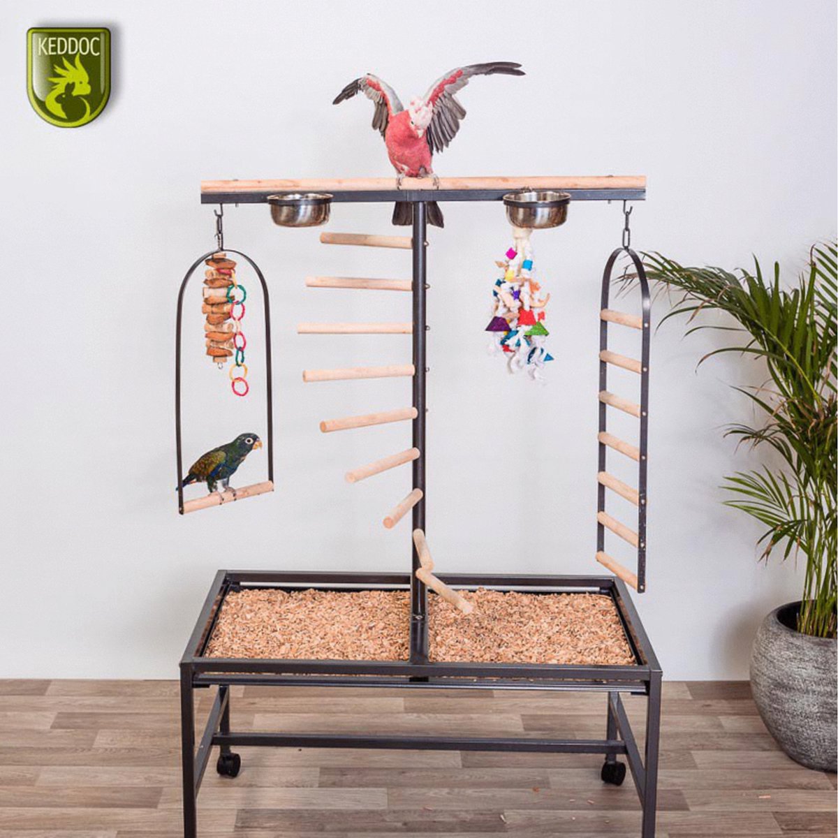Keddoc Bird Play Stand Iowa