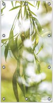 Tuinposter Hangende Tak in de Zon 100x200cm- Foto op Tuinposter (wanddecoratie voor binnen en buiten)