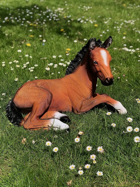 Veulen lig bruin 42 cm hoog paard polyester polyresin polystone