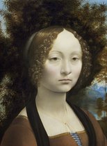Léonard de Vinci : Ginevra de' Benci, 1474-1476 - Puzzle 2000 pièces