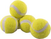 Rosewood Jolly Doggy Tennisbal Mini