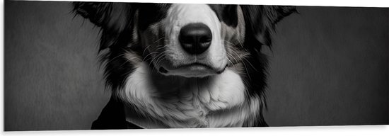 Dibond - Berner Sennen Hond in Zakelijk Pak met Stropdas (Zwart- wit) - 150x50 cm Foto op Aluminium (Met Ophangsysteem)
