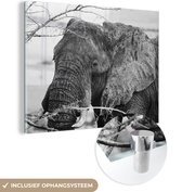MuchoWow® Peinture sur verre 40x30 cm - Peinture sur verre acrylique - Éléphant - Animaux - Branches - Nature - Zwart et blanc - Photo sur verre - Peintures