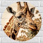 Muursticker Cirkel - Close-up van Giraffe Etend van Hoge Boom - 50x50 cm Foto op Muursticker
